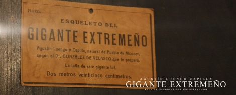 Detalle de placa del Museo Antropológico ( 10 cm menos que la talla )